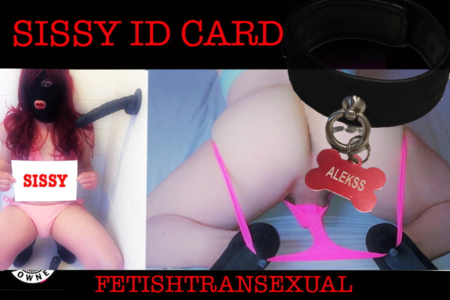 Sissy募集カード
 #99058153