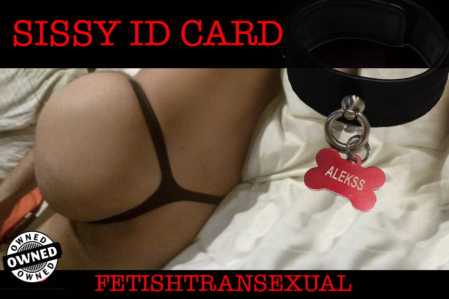 Sissy募集カード
 #99058161