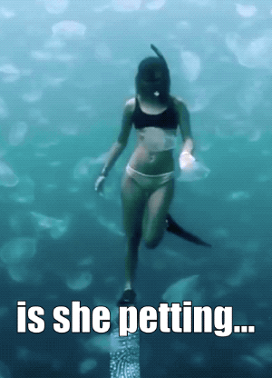 Gifs MEGA COMPIL #102620070