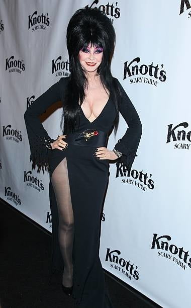 Cassandra peterson aka elvira
 #88265731