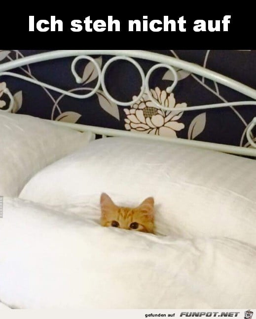 Milfs and co. 20.06.2020
 #92916055