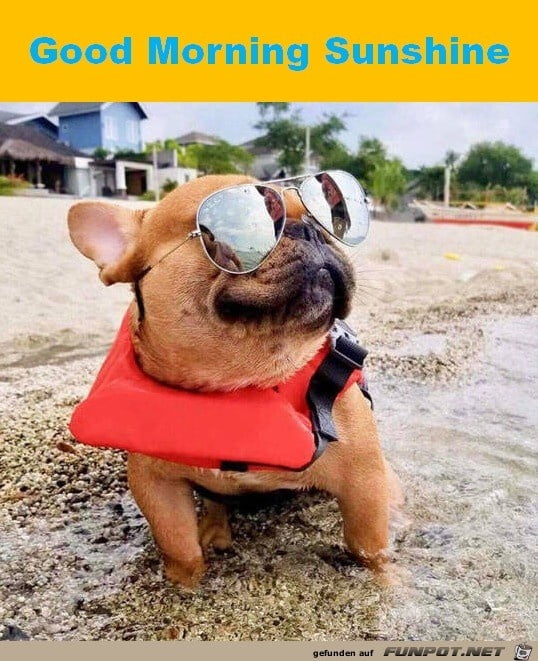 Milfs and co. 20.06.2020
 #92916103