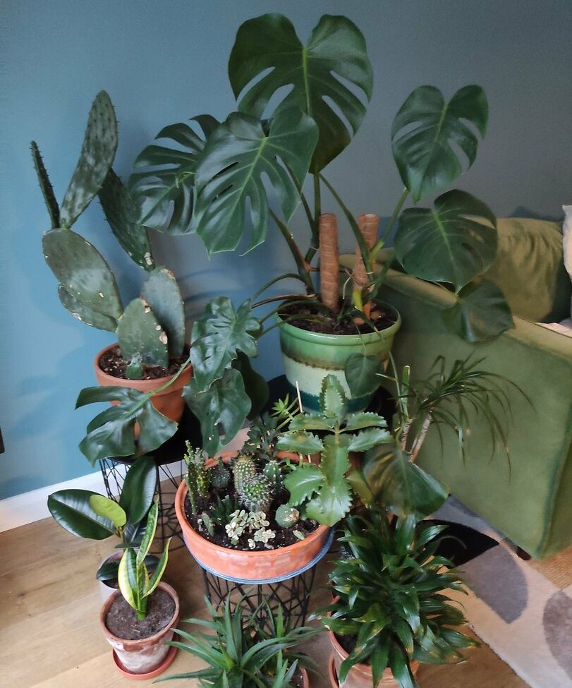 Aya Kensington desnuda #108667097