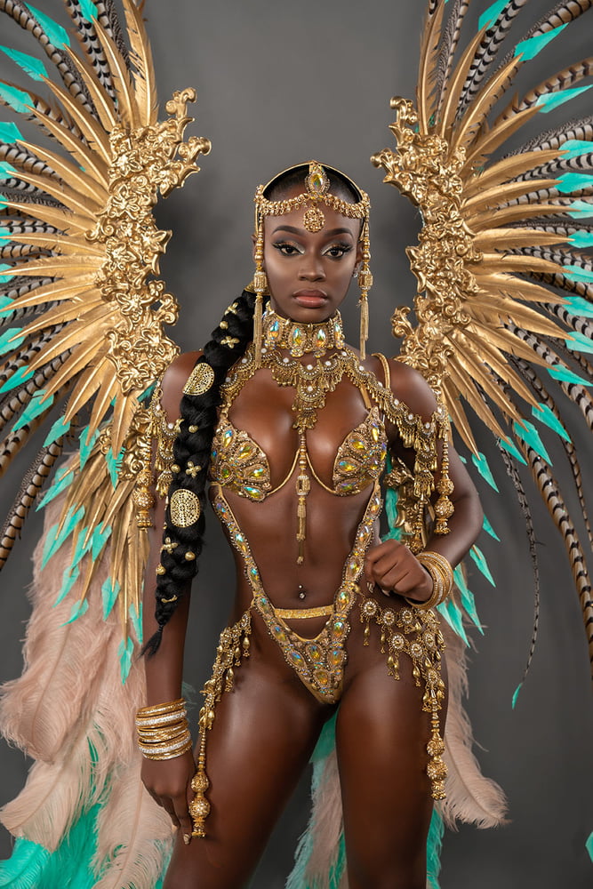 Carnival Sexy Brazil Nudes #103683283