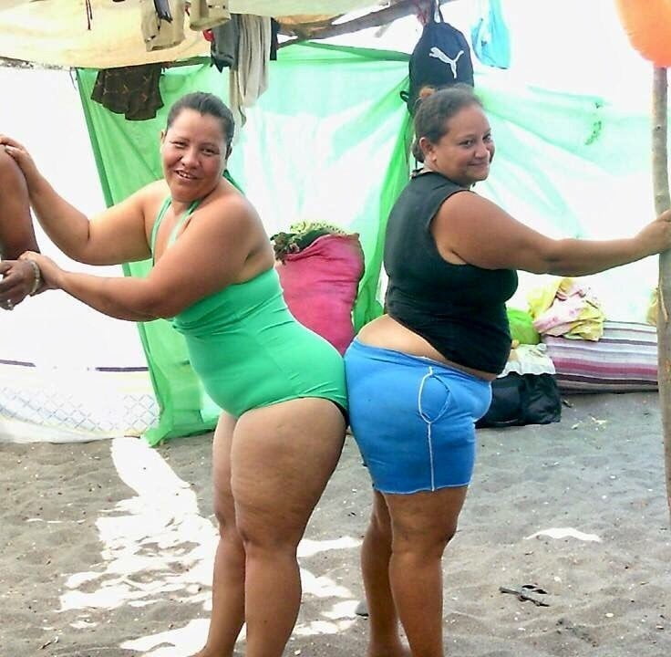 Mas gordas culonas da troz
 #104501857