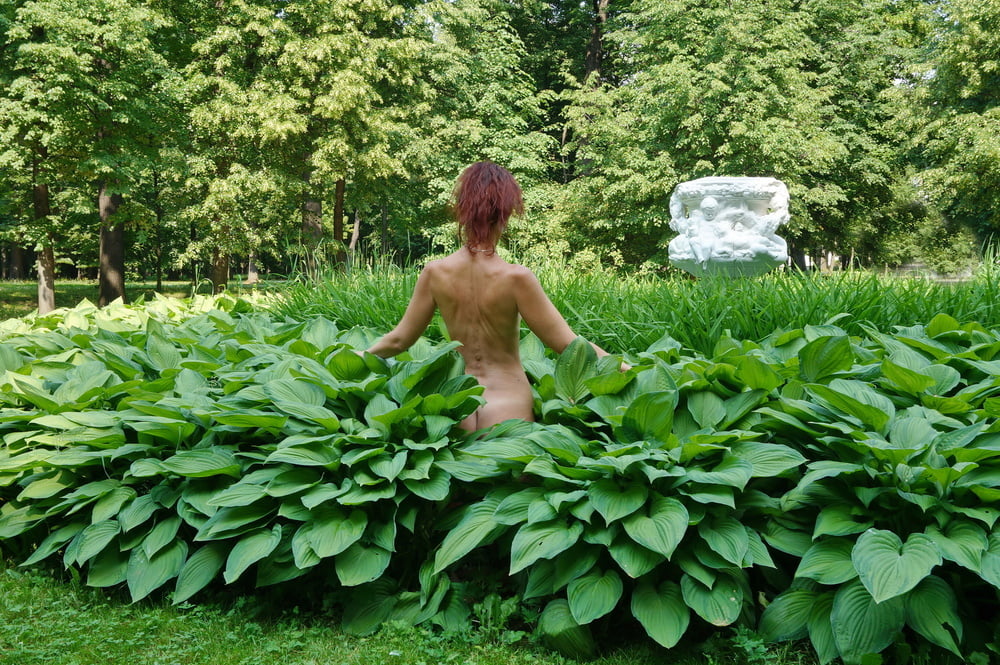 Naked in the grass #106924674