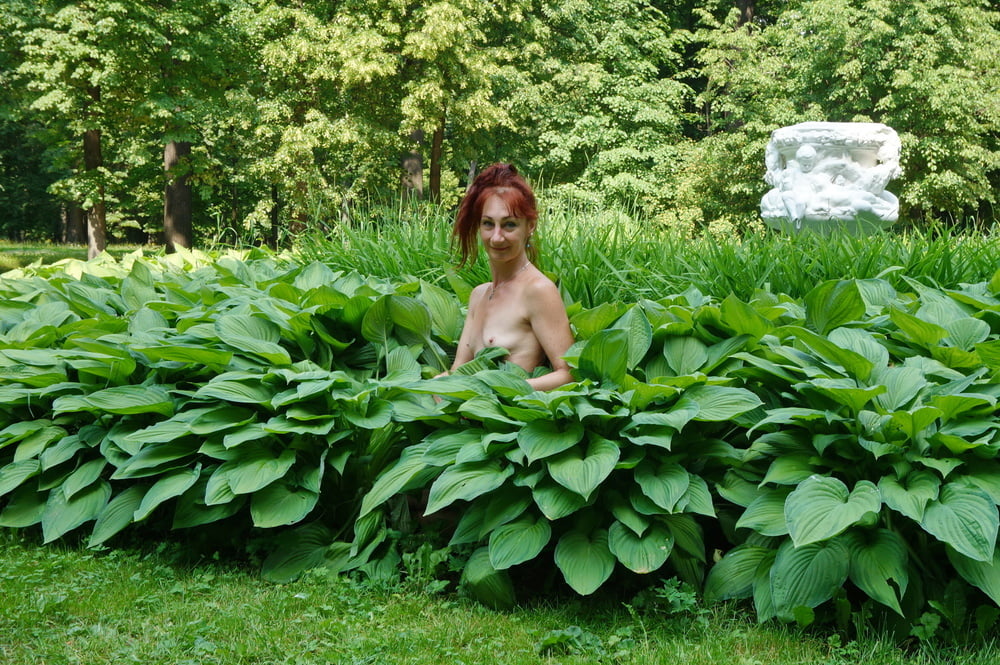 Naked in the grass #106924678