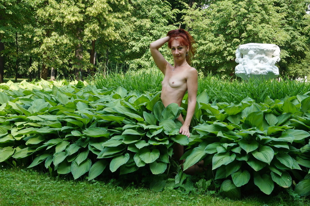 Naked in the grass #106924680