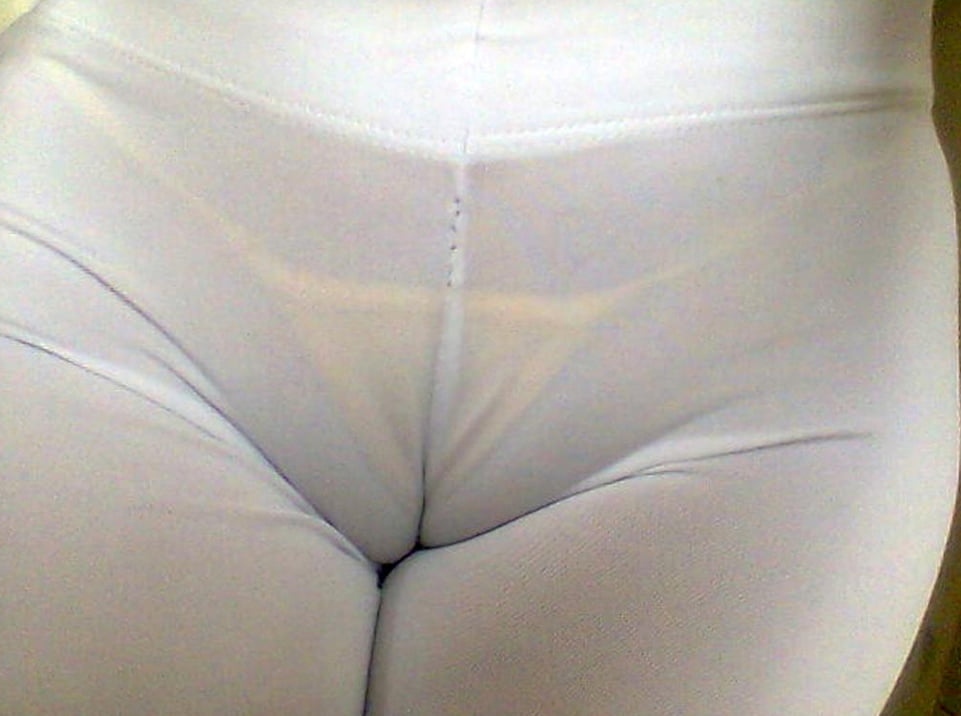 camel toes #91059140