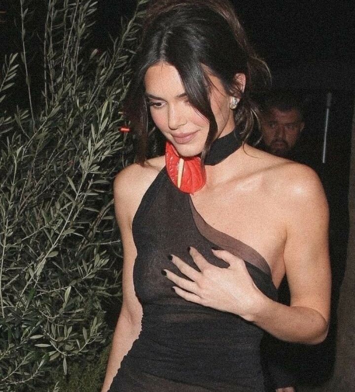 Kendall Jenner nude #107727817
