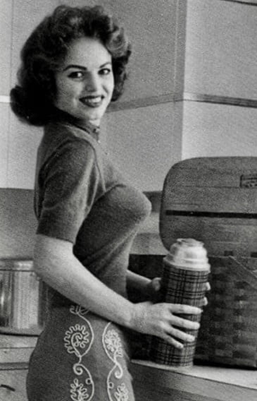 Love those Pointers #88678821