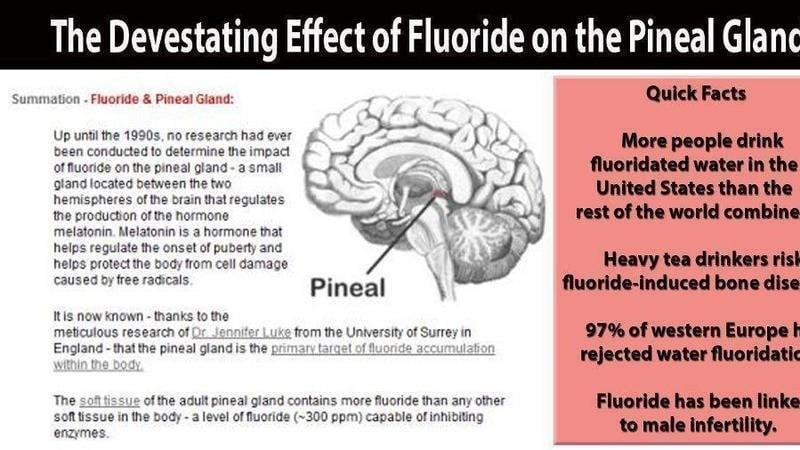 H2o水ダイエット
 #91118948