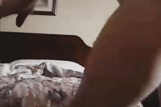 Assorted gifs 41 #87939060