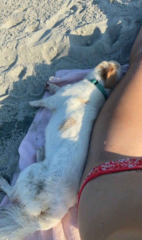 Katiedaisy desnuda #108191686