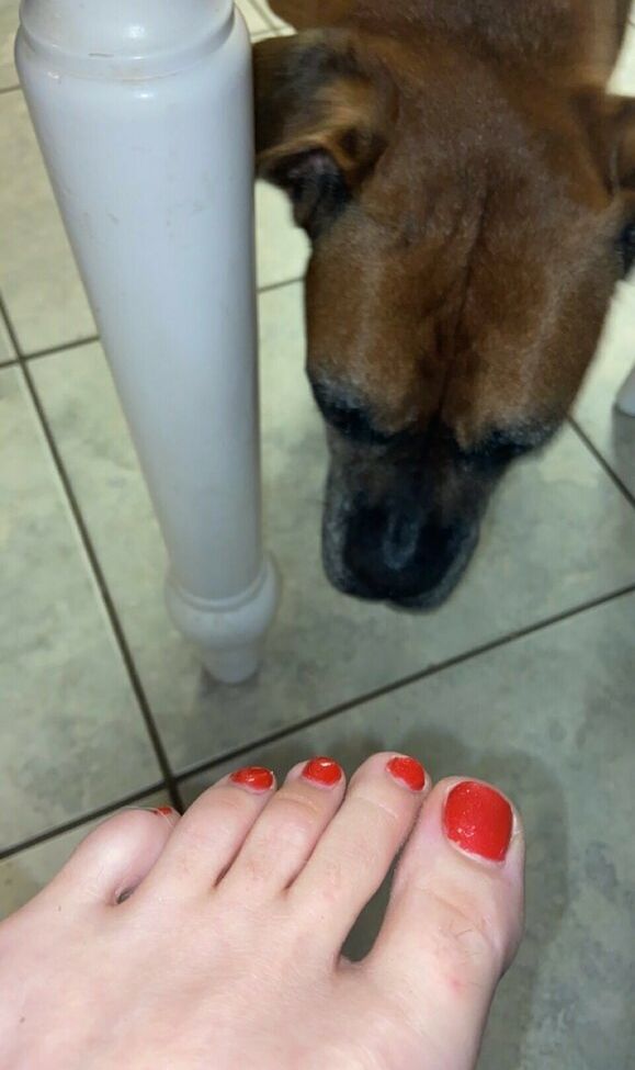 Katiedaisy desnuda #108191735