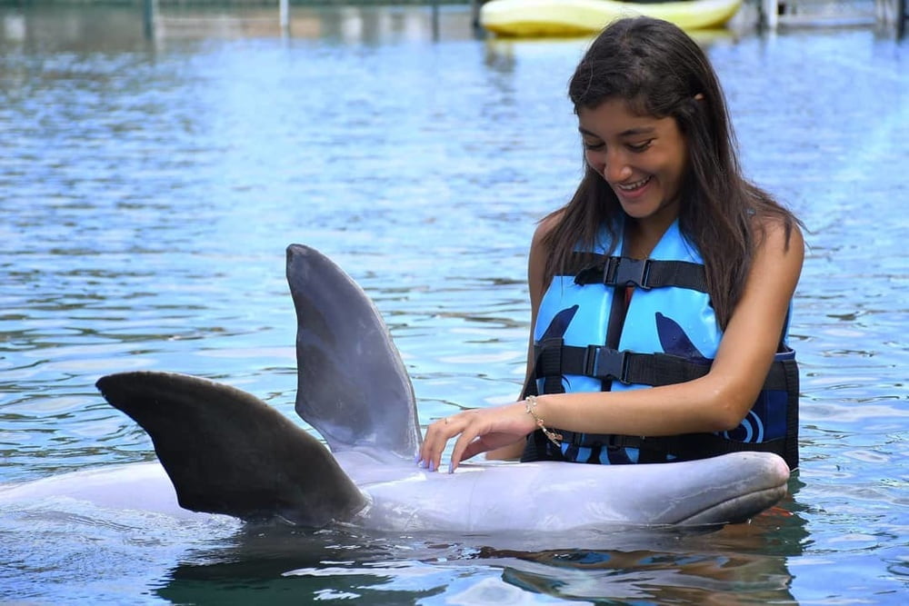 Insta babe 19
 #101486676