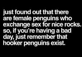 ...And now for something completely different #80559247