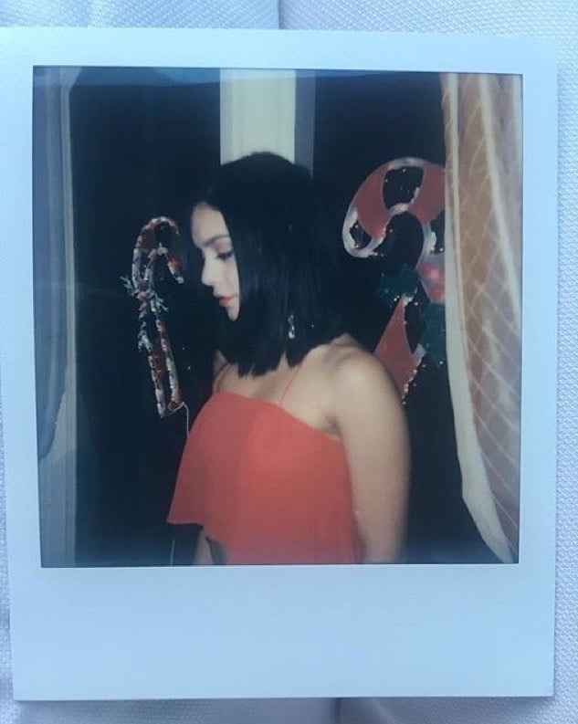 Vanassa Hudgens #90284910