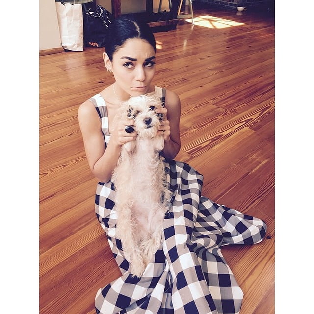 Vanassa Hudgens #90285014