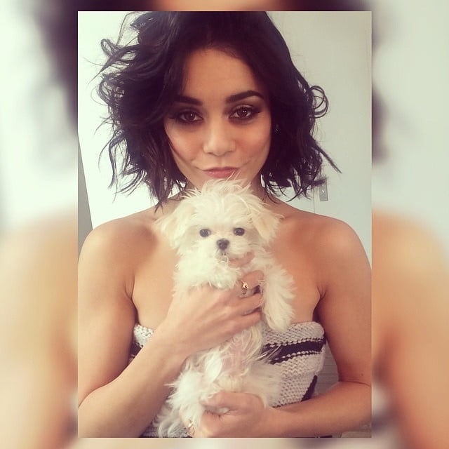 Vanassa Hudgens #90285096