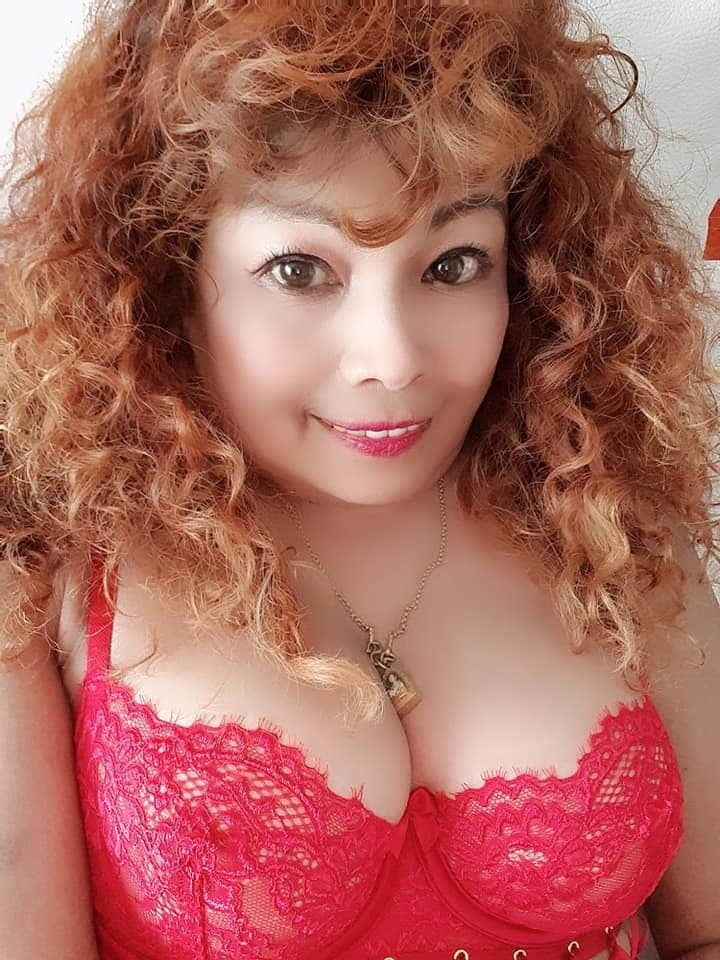 Janda, tetek besar, montok #88519730