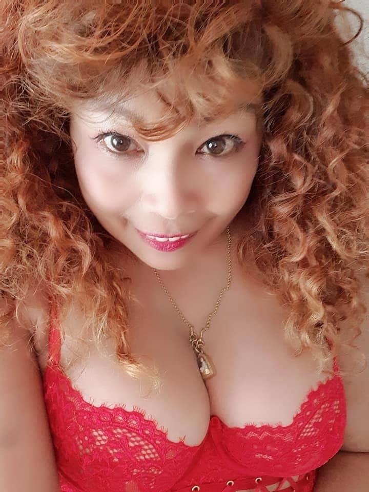 Janda, tetek besar, montok #88519736