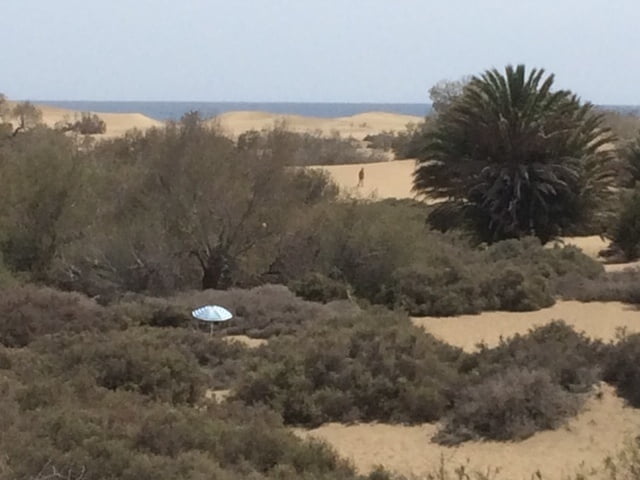 Gran canaria sex
 #89379486