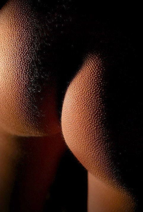 The Dom and Muse 13 #101648877