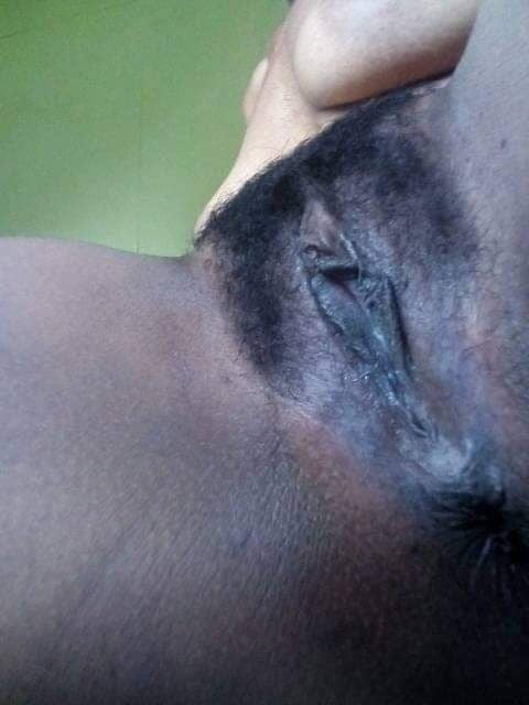 Png 2k20  milfs exposed #89443931