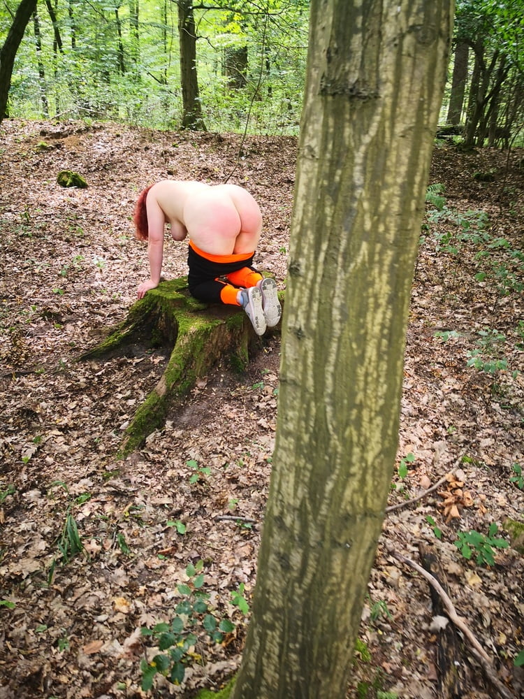 Nackte nackte Titten und Arsch in den Wäldern
 #106584187