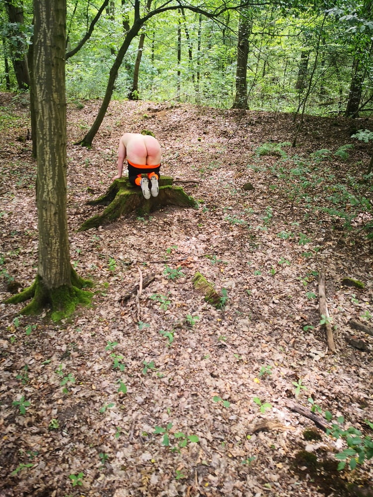 Nackte nackte Titten und Arsch in den Wäldern
 #106584190