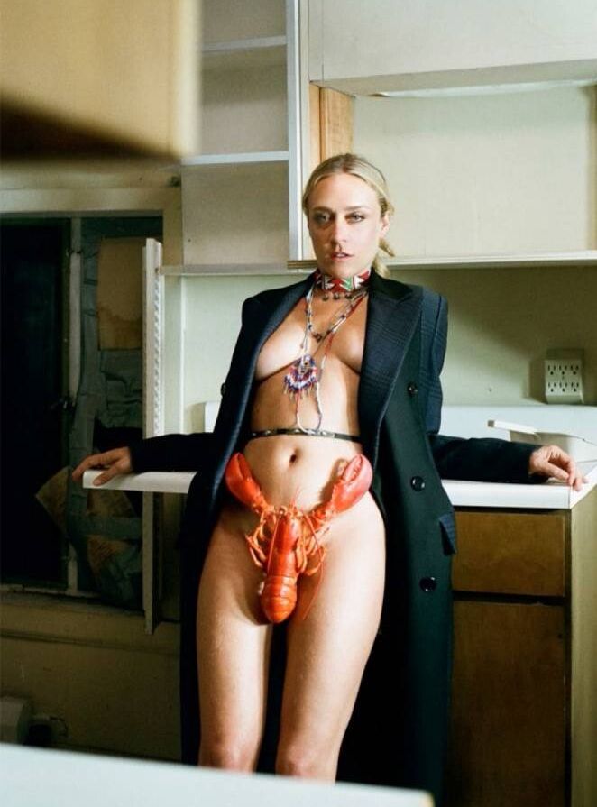 Chloe Sevigny nude #109069759