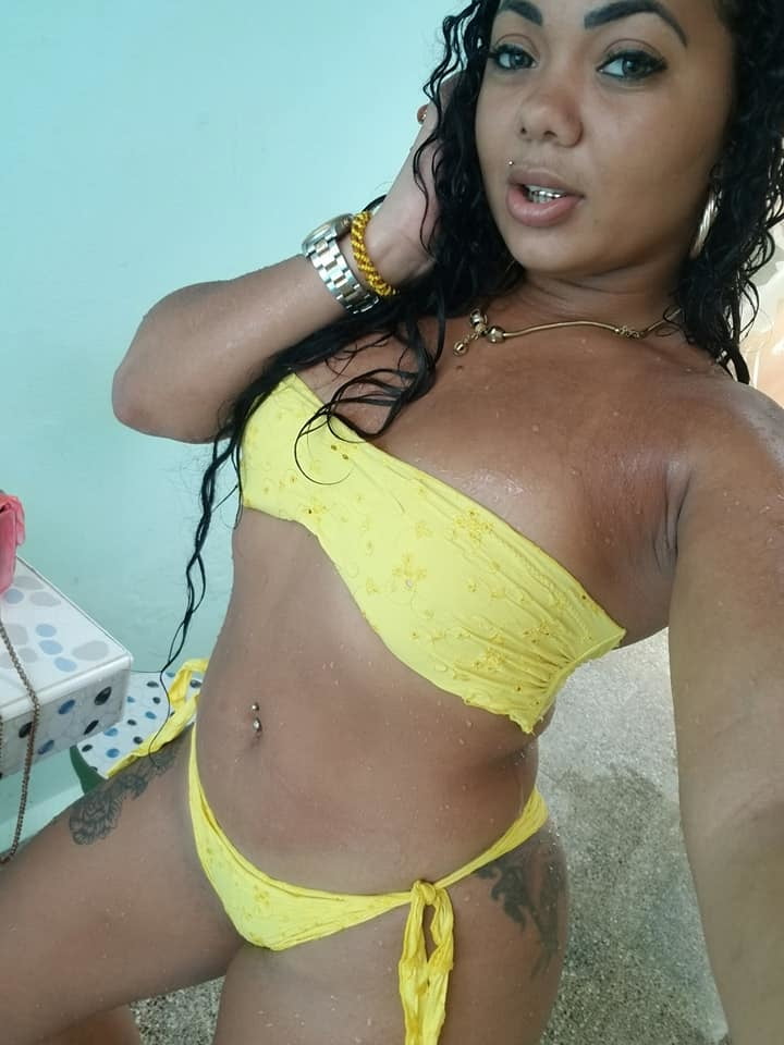 margarita dominicana perrisima #89897438