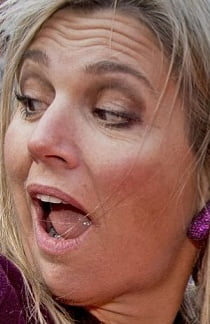 GROSSE DINDE REINE MAXIMA DES PAYS BAS #98232300