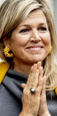 GROSSE DINDE REINE MAXIMA DES PAYS BAS #98232323