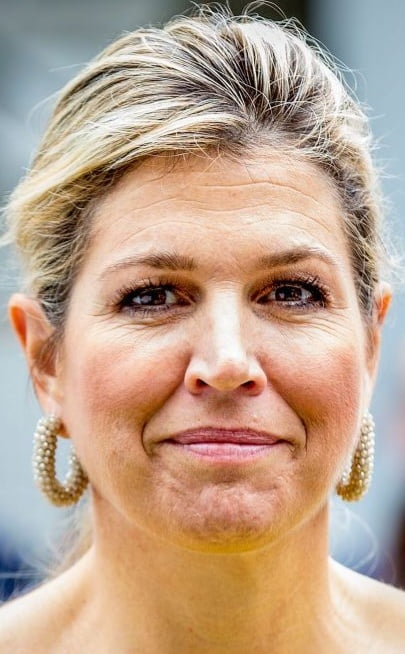 GROSSE DINDE REINE MAXIMA DES PAYS BAS #98232377