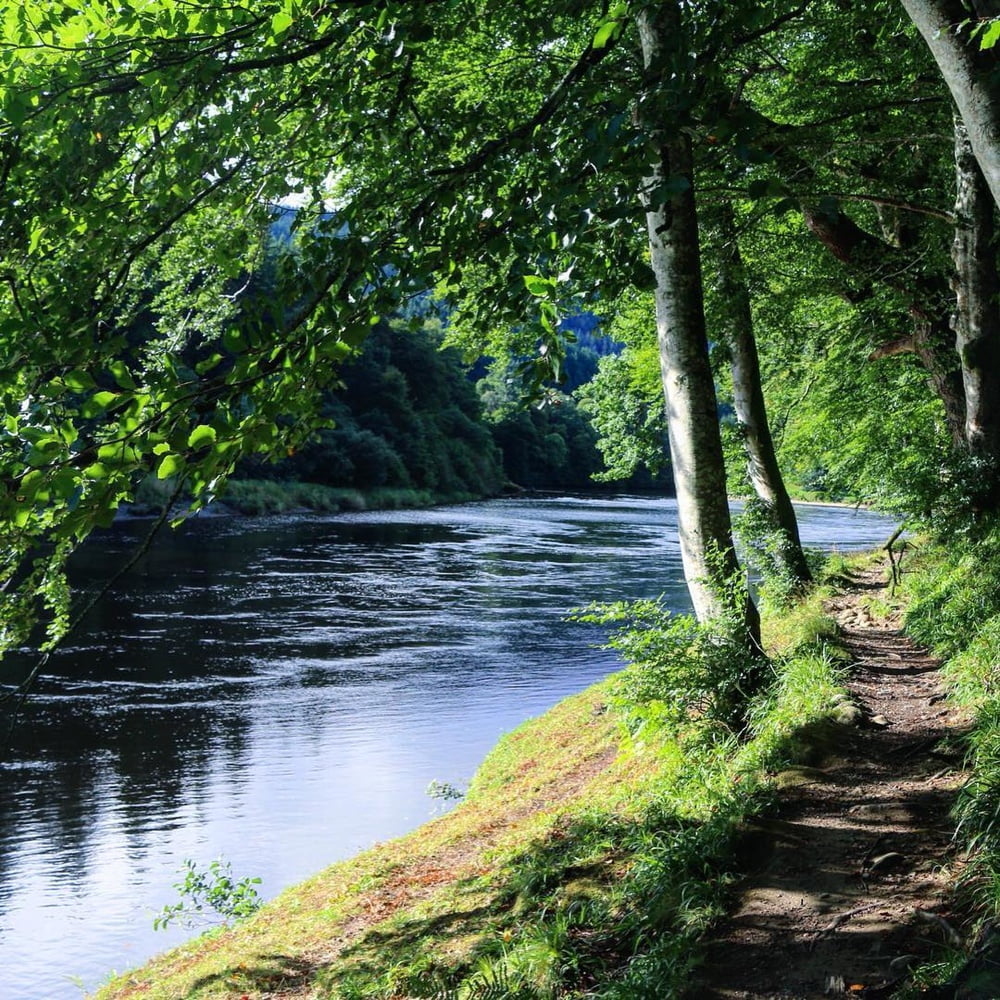 Insta babe 16
 #100985000