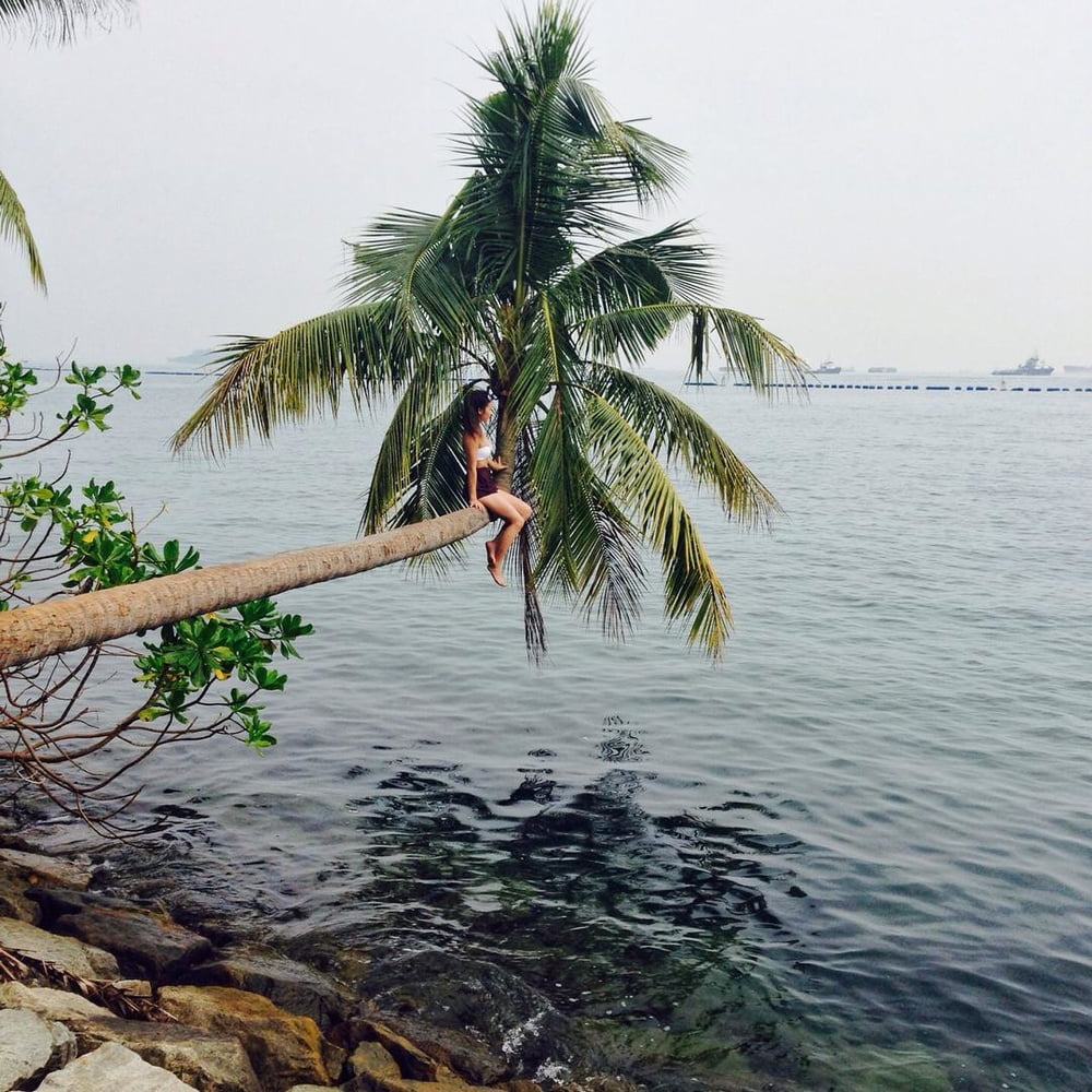 Insta babe 16
 #100985237