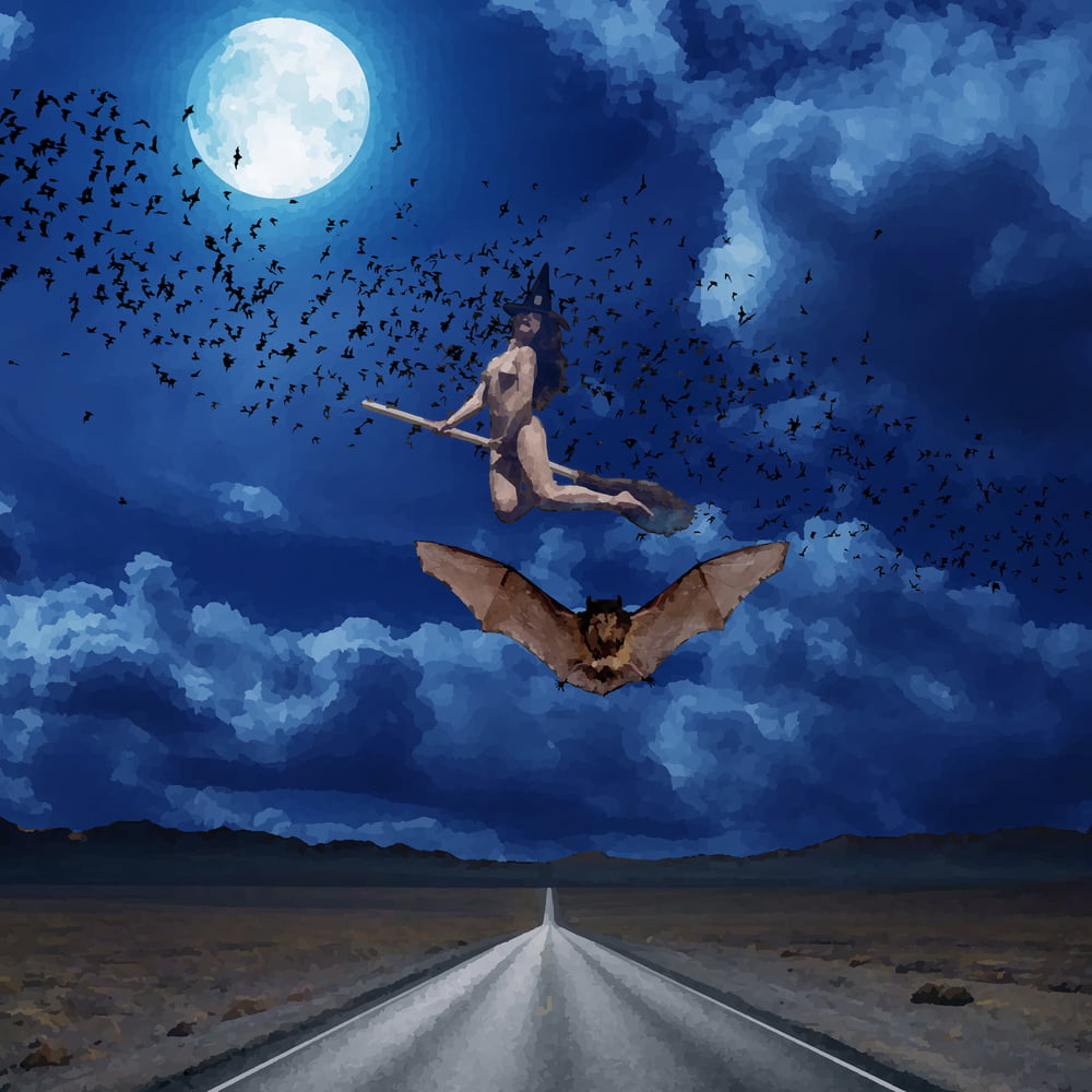 Xhamsterart
 #81747830