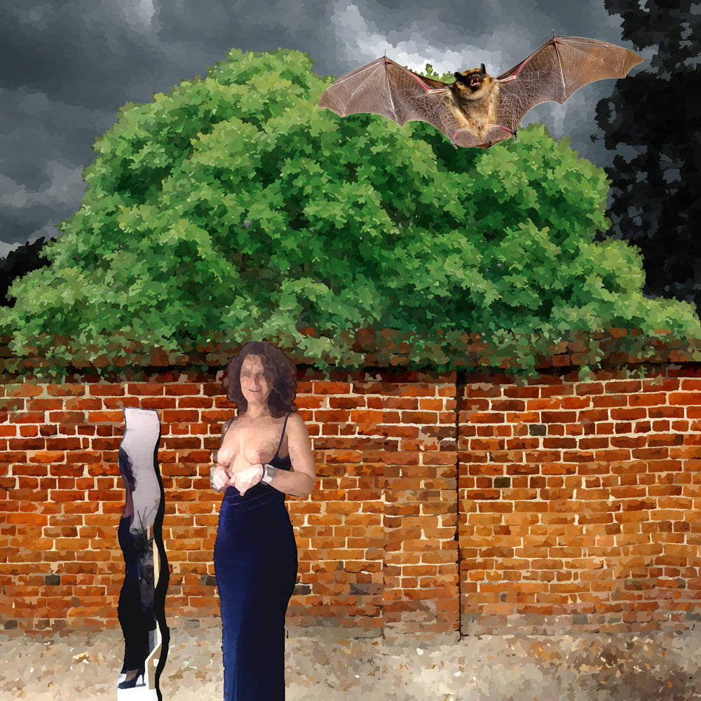 Xhamsterart
 #81747857