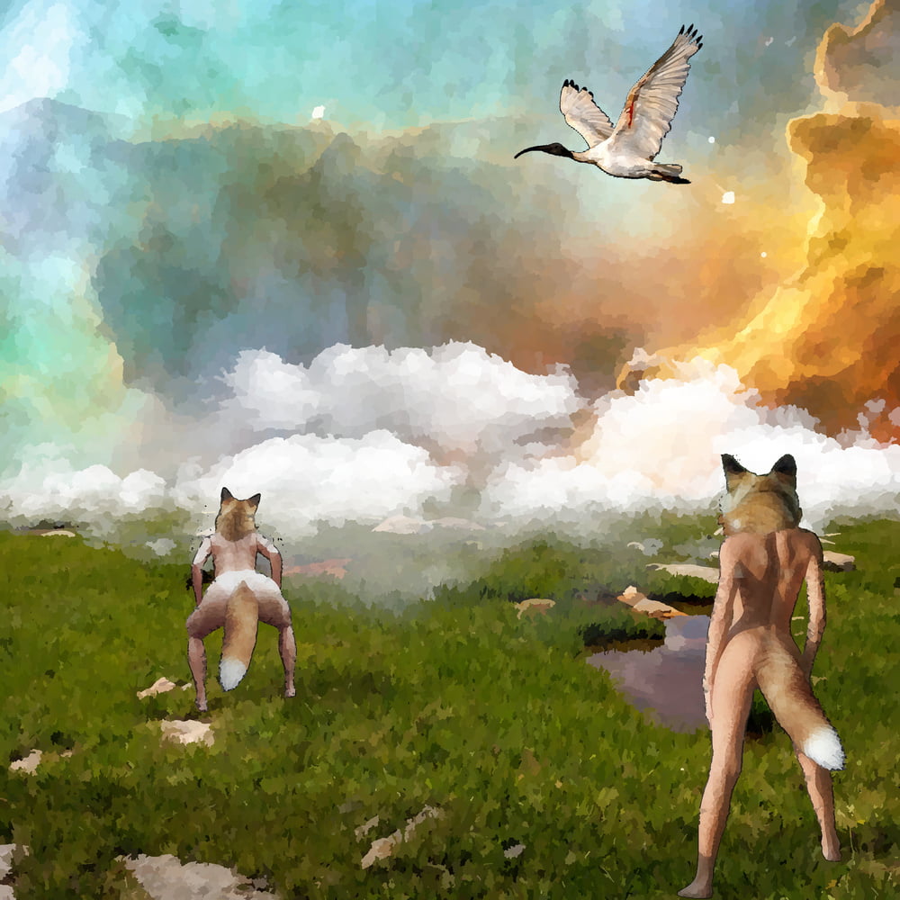 Xhamsterart
 #81747980