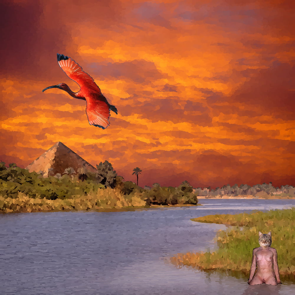 Xhamsterart
 #81748001