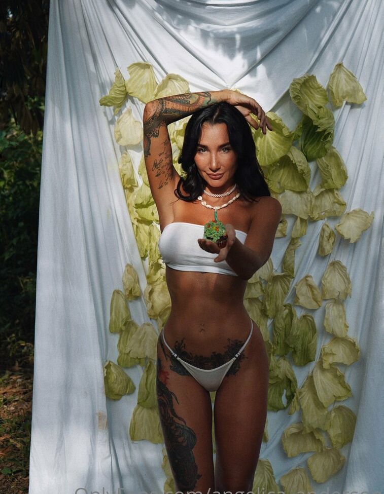 Angelica Anderson desnuda #108042018