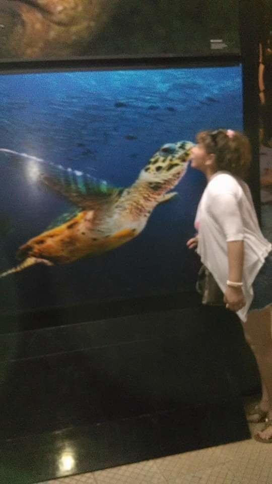 ベッカム・ルビア・レリゴーサ
 #92247991