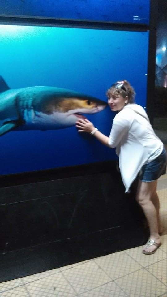 ベッカム・ルビア・レリゴーサ
 #92248012