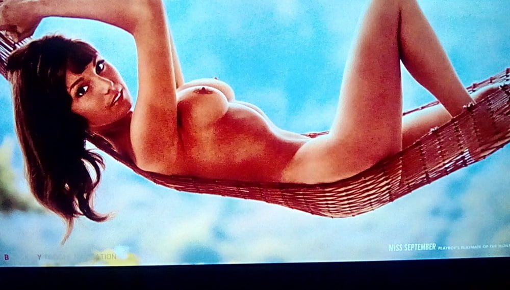 Compañeros de juego favoritos 2
 #88905459