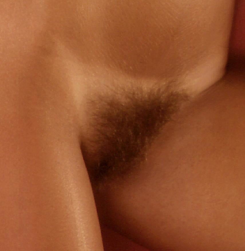 Compañeros de juego favoritos 2
 #88905470