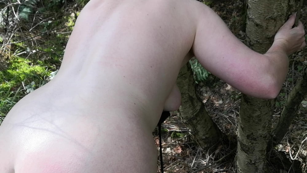 Nackte Titten und Arschpeitschen im Wald
 #106626968