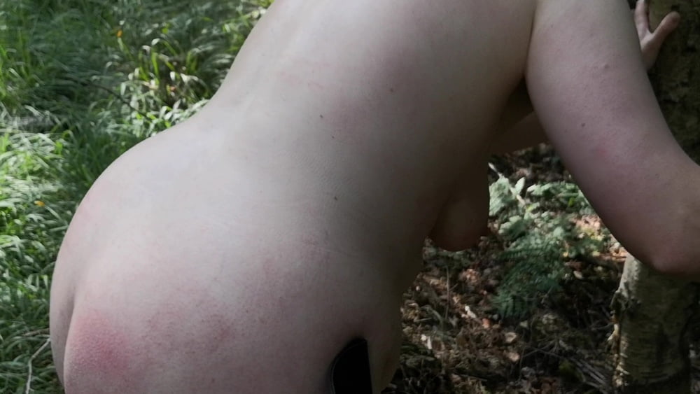 Nackte Titten und Arschpeitschen im Wald
 #106626983