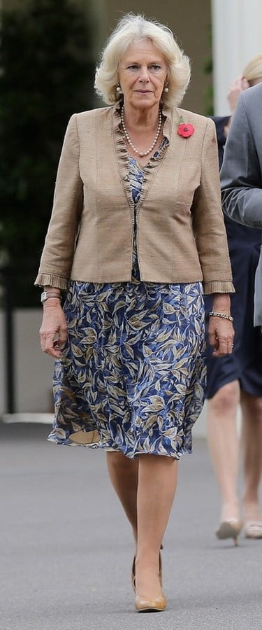 Collant royal de grand-mère - camilla duchesse de Cornouailles
 #89912801